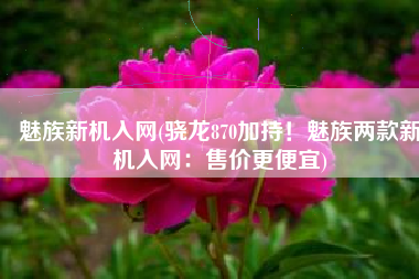 魅族新机入网(骁龙870加持！魅族两款新机入网：售价更便宜)