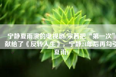 宁静夏雨演的电视剧(宋茜把“第一次”献给了《反转人生》，宁静24年后再勾引夏雨)