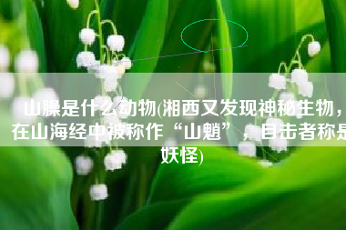 山臊是什么动物(湘西又发现神秘生物，在山海经中被称作“山魈”，目击者称是妖怪)