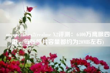 opporealmex2(realme X2评测：6400万鹰眼四摄，每张照片容量都约为20MB左右)