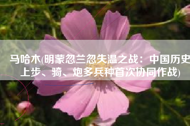 马哈木(明蒙忽兰忽失温之战：中国历史上步、骑、炮多兵种首次协同作战)