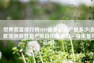 世界首富排行榜2019最多的资产是多少(起底亚洲新首富：来自印度底层，身家是马云4倍)