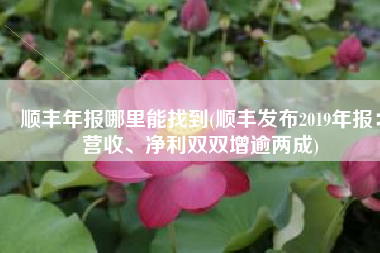 顺丰年报哪里能找到(顺丰发布2019年报：营收、净利双双增逾两成)