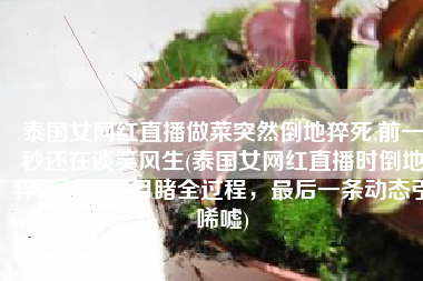 泰国女网红直播做菜突然倒地猝死,前一秒还在谈笑风生(泰国女网红直播时倒地猝死！粉丝目睹全过程，最后一条动态引唏嘘)