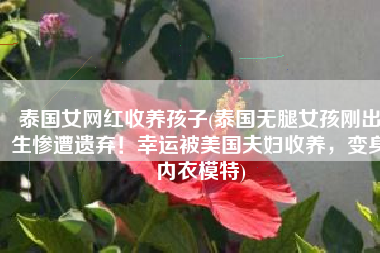 泰国女网红收养孩子(泰国无腿女孩刚出生惨遭遗弃！幸运被美国夫妇收养，变身内衣模特)