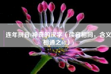 连年拼音(神奇的汉字（读音相同，含义相通之61）)
