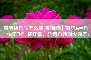 南航快乐飞怎么买(最前线｜南航3699元“快乐飞”将开售，航司自救如火如荼)
