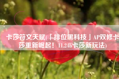 卡莎符文天赋(「排位黑科技」AP双修卡莎重新崛起！11.24b卡莎新玩法)