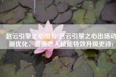 赵云引擎之心图片(赵云引擎之心出场动画优化，蔷薇恋人技能特效升级史诗)