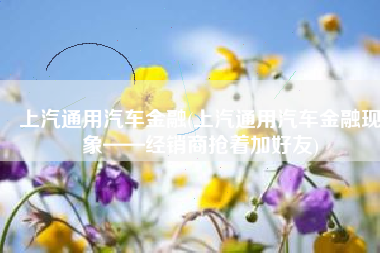 上汽通用汽车金融(上汽通用汽车金融现象——经销商抢着加好友)