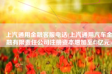 上汽通用金融客服电话(上汽通用汽车金融有限责任公司注册资本增加至85亿元)