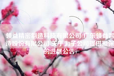 领益精密制造科技有限公司(广东领益智造股份有限公司 关于为子公司提供担保的进展公告)