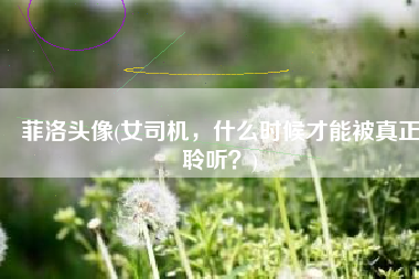 菲洛头像(女司机，什么时候才能被真正聆听？)