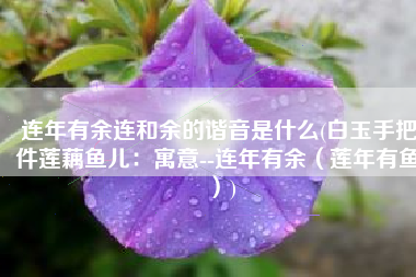 连年有余连和余的谐音是什么(白玉手把件莲藕鱼儿：寓意--连年有余（莲年有鱼）)