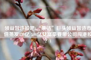 领益智造股吧(“果链”巨头领益智造市值蒸发439亿 500亿女富豪要带公司闯港股？)