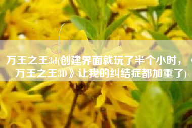 万王之王3d(创建界面就玩了半个小时，《万王之王3D》让我的纠结症都加重了)