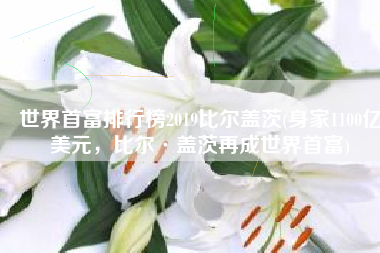 世界首富排行榜2019比尔盖茨(身家1100亿美元，比尔·盖茨再成世界首富)
