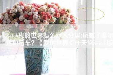 switch我的世界怎么双人分屏(玩腻了塞尔达和马车？《我的世界》任天堂Switch版正式发售)