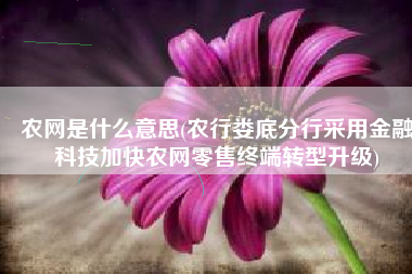 农网是什么意思(农行娄底分行采用金融科技加快农网零售终端转型升级)