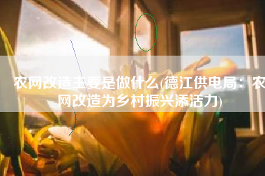 农网改造主要是做什么(德江供电局：农网改造为乡村振兴添活力)