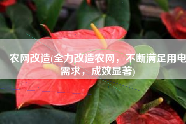 农网改造(全力改造农网，不断满足用电需求，成效显著)