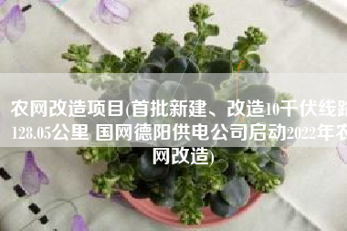 农网改造项目(首批新建、改造10千伏线路128.05公里 国网德阳供电公司启动2022年农网改造)