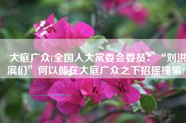 大庭广众(全国人大常委会委员：“刘洪滨们”何以能在大庭广众之下招摇撞骗?)