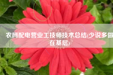 农网配电营业工技师技术总结(少说多做在基层)