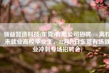 领益智造科技(东莞)有限公司招聘(@离校未就业高校毕业生，12月12日东莞有场就业冲刺专场招聘会)