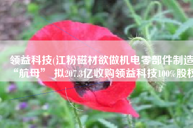 领益科技(江粉磁材欲做机电零部件制造“航母” 拟207.3亿收购领益科技100%股权)