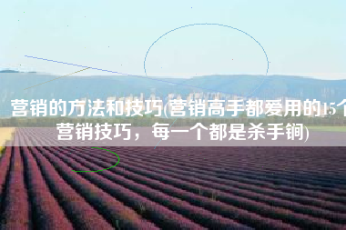 营销的方法和技巧(营销高手都爱用的15个营销技巧，每一个都是杀手锏)