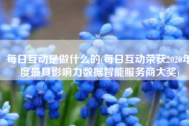 每日互动是做什么的(每日互动荣获2020年度最具影响力数据智能服务商大奖)