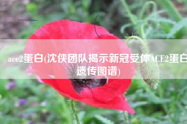 ace2蛋白(沈侠团队揭示新冠受体ACE2蛋白遗传图谱)