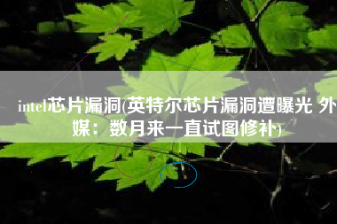 intel芯片漏洞(英特尔芯片漏洞遭曝光 外媒：数月来一直试图修补)