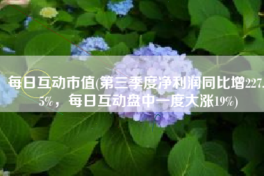 每日互动市值(第三季度净利润同比增227.65%，每日互动盘中一度大涨19%)
