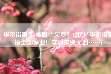 华尔街事件(被曝“欠费”12亿！华尔街英语全部停业！学员欲哭无泪……)