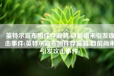 英特尔宣布固件存漏洞 目前尚未引发攻击事件(英特尔宣布固件存漏洞 目前尚未引发攻击事件)