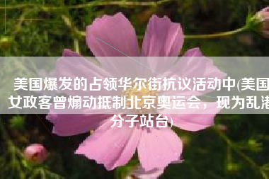 美国爆发的占领华尔街抗议活动中(美国女政客曾煽动抵制北京奥运会，现为乱港分子站台)