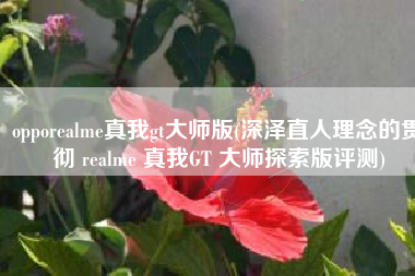 opporealme真我gt大师版(深泽直人理念的贯彻 realme 真我GT 大师探索版评测)