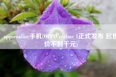 opporealme手机(OPPO realme 1正式发布 起售价不到千元)