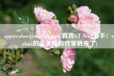 opporealmegtneo2(realme 真我GT Neo2上手：realme的全天候游戏掌机来了)