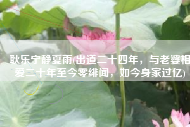 耿乐宁静夏雨(出道二十四年，与老婆相爱二十年至今零绯闻，如今身家过亿)