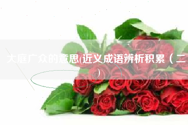 大庭广众的意思(近义成语辨析积累（二）)