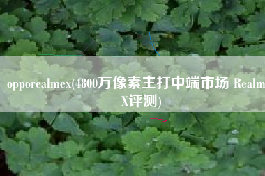 opporealmex(4800万像素主打中端市场 Realme X评测)