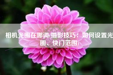 相机光圈在哪调(摄影技巧：如何设置光圈、快门范围)