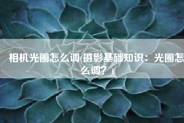 相机光圈怎么调(摄影基础知识：光圈怎么调？)