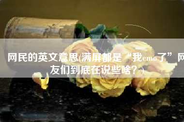 网民的英文意思(满屏都是“我emo了”网友们到底在说些啥？)