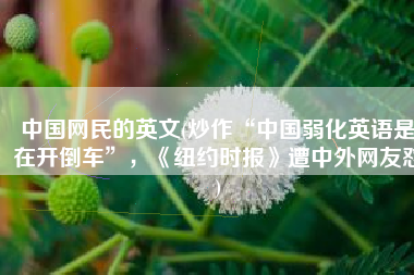 中国网民的英文(炒作“中国弱化英语是在开倒车”，《纽约时报》遭中外网友怼)