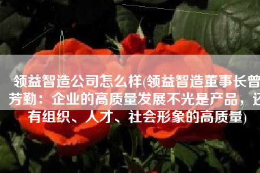 领益智造公司怎么样(领益智造董事长曾芳勤：企业的高质量发展不光是产品，还有组织、人才、社会形象的高质量)