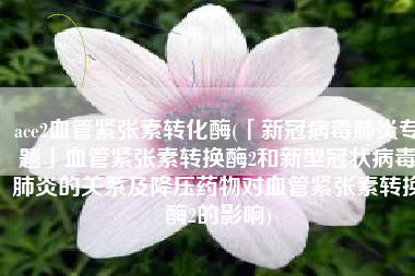 ace2血管紧张素转化酶(「新冠病毒肺炎专题」血管紧张素转换酶2和新型冠状病毒肺炎的关系及降压药物对血管紧张素转换酶2的影响)